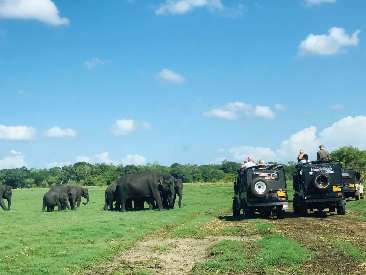 Habarana Jeep Safari